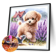 Load image into Gallery viewer, 2pcs AB Diamond Painting - Full Round - lavender poodle parrot (40*40CM)
