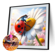 Load image into Gallery viewer, Diamond Painting - Full Round - Ladybug (30*30CM)
