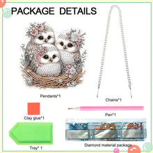 Load image into Gallery viewer, Double Sided Acrylic Owl Diamond Painting Hanging Pendant Diamond Painting Decor

