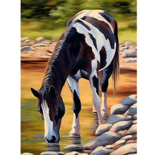 Load image into Gallery viewer, Diamond Painting - Full Round - Black and white horse (30*40CM)
