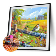 Load image into Gallery viewer, Diamond Painting - Full Square - Wild bird (40*40CM)
