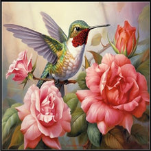 Load image into Gallery viewer, Diamond Painting - Full Square - Hummingbird (70*50CM)
