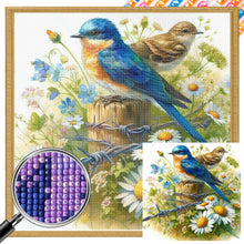 Load image into Gallery viewer, AB Diamond Painting - Full Square - Bird (30*30CM)
