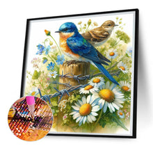 Load image into Gallery viewer, AB Diamond Painting - Full Square - Bird (30*30CM)
