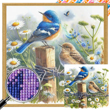 Load image into Gallery viewer, AB Diamond Painting - Full Square - Bird (30*30CM)
