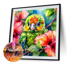 Load image into Gallery viewer, Diamond Painting - Full Round - Parrot Parrot (40*40CM)
