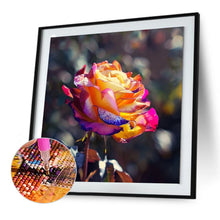 Load image into Gallery viewer, Diamond Painting - Full Round - Rose (30*30CM)
