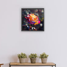 Load image into Gallery viewer, Diamond Painting - Full Round - Rose (30*30CM)
