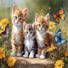 Load image into Gallery viewer, Diamond Painting - Full Square - Cat (40*30CM)
