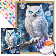 Load image into Gallery viewer, AB Diamond Painting - Full Round - Owl (40*55CM)
