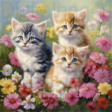 Load image into Gallery viewer, Diamond Painting - Full Round - Flower cat (30*30CM)
