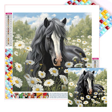 Load image into Gallery viewer, Diamond Painting - Full Square - Dark horse (40*40CM)
