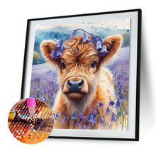 Load image into Gallery viewer, Diamond Painting - Full Round - Highland yak (30*30CM)
