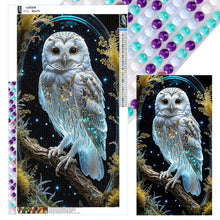 Load image into Gallery viewer, Diamond Painting - Full Round - Owl (40*70CM)
