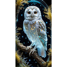 Load image into Gallery viewer, Diamond Painting - Full Round - Owl (40*70CM)
