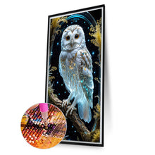 Load image into Gallery viewer, Diamond Painting - Full Round - Owl (40*70CM)
