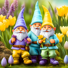 Load image into Gallery viewer, Diamond Painting - Full Round - Gnome (30*30CM)
