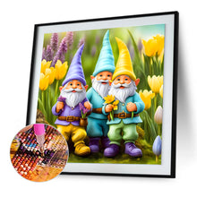 Load image into Gallery viewer, Diamond Painting - Full Round - Gnome (30*30CM)
