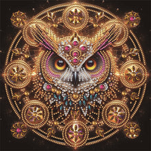Load image into Gallery viewer, Diamond Painting - Partial Special Shaped - Owl (30*30CM)
