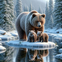 Load image into Gallery viewer, Diamond Painting - Full Round - Snow bear (40*40CM)
