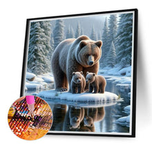 Load image into Gallery viewer, Diamond Painting - Full Round - Snow bear (40*40CM)
