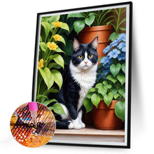 Load image into Gallery viewer, Diamond Painting - Full Round - Cat (30*40CM)
