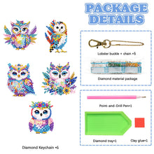 Load image into Gallery viewer, 5Pcs Acrylic Double Sided Owl Diamond Painting Keychain for Beginners Adults

