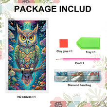 Load image into Gallery viewer, Diamond Painting - Partial Special Shaped - Owl (40*70CM)
