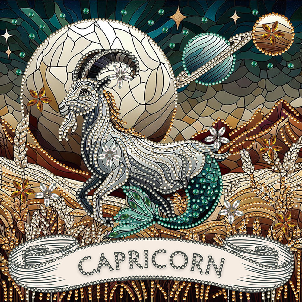 Diamond Painting - Partial Special Shaped - Zodiac Capricorn (30*30CM)