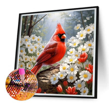 Load image into Gallery viewer, Diamond Painting - Full Round - Red Cardinal (30*30CM)
