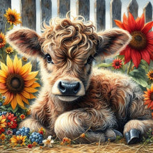 Load image into Gallery viewer, Diamond Painting - Full Round - Highland Cattle (30*30CM)
