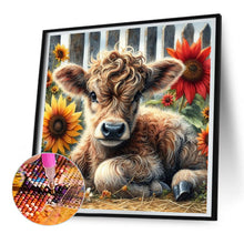 Load image into Gallery viewer, Diamond Painting - Full Round - Highland Cattle (30*30CM)
