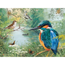 Load image into Gallery viewer, Diamond Painting - Full Round - Bird by the stream (60*45CM)
