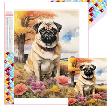 Load image into Gallery viewer, Diamond Painting - Full Square - Pug (40*50CM)
