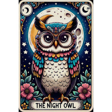 Load image into Gallery viewer, AB Diamond Painting - Full Round - night owl (40*60CM)
