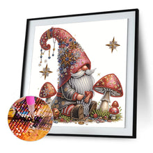 Load image into Gallery viewer, Diamond Painting - Partial Special Shaped - Mushroom gnome (30*30CM)

