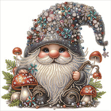 Load image into Gallery viewer, Diamond Painting - Partial Special Shaped - Mushroom gnome (30*30CM)
