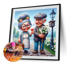 Load image into Gallery viewer, Diamond Painting - Full Square - Old couple (30*30CM)
