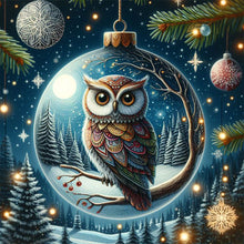 Load image into Gallery viewer, Diamond Painting - Full Round - Winter Owl Eggs (30*30CM)
