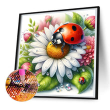 Load image into Gallery viewer, Diamond Painting - Full Round - Daisy ladybug (30*30CM)
