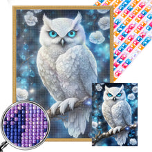 Load image into Gallery viewer, AB Diamond Painting - Full Square - White owl on a branch (40*55CM)
