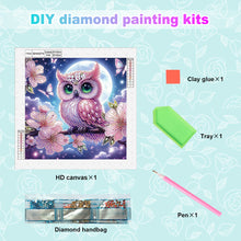Load image into Gallery viewer, Diamond Painting - Partial Special Shaped - Owl (30*30CM)
