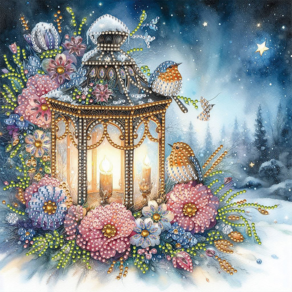 Diamond Painting - Partial Special Shaped - Snow lantern (30*30CM)