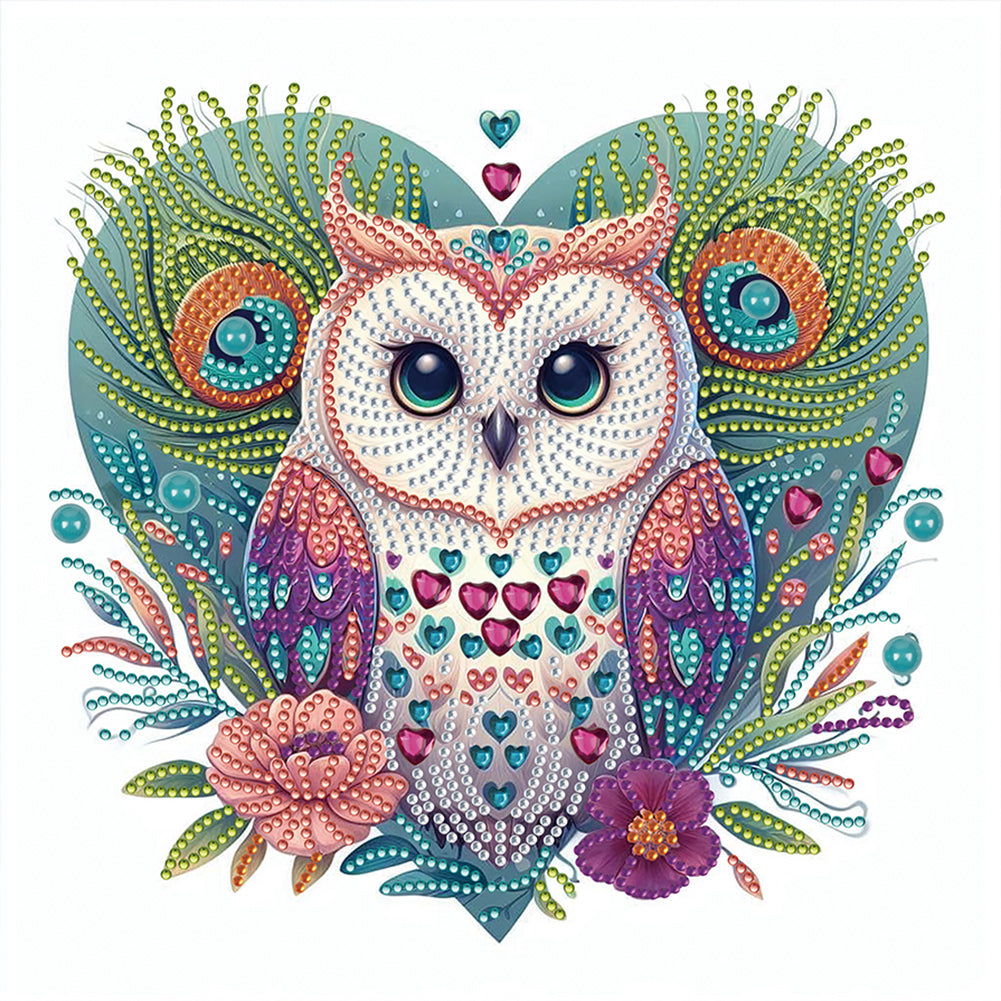 Diamond Painting - Partial Special Shaped - Love owl (30*30CM)