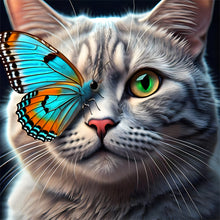 Load image into Gallery viewer, Diamond Painting - Full Round - Butterfly cat (30*30CM)
