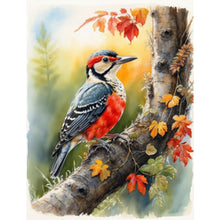 Load image into Gallery viewer, Diamond Painting - Full Square - Woodpecker (30*40CM)
