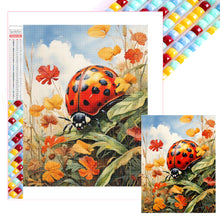 Load image into Gallery viewer, Diamond Painting - Full Square - Ladybug (30*40CM)
