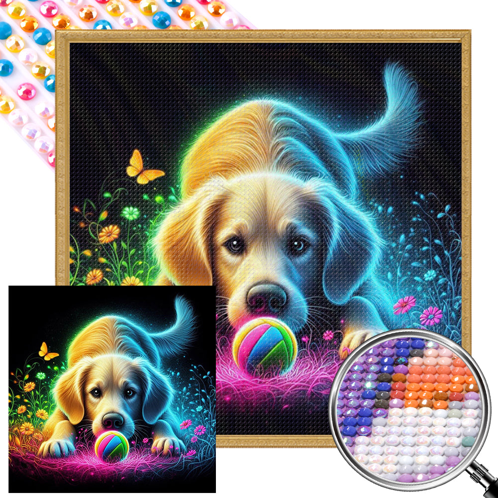 AB Diamond Painting - Full Round - Playing ball pet (40*40CM)