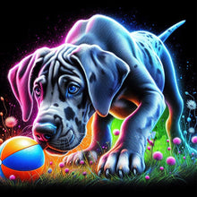 Load image into Gallery viewer, AB Diamond Painting - Full Round - Playing ball pet (40*40CM)
