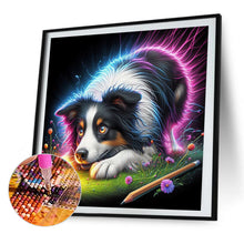 Load image into Gallery viewer, AB Diamond Painting - Full Round - Playing ball pet (40*40CM)
